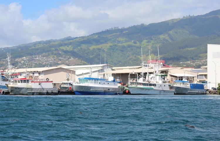 Tahiti visuel